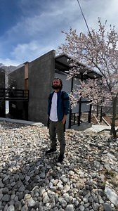 Blossom vibes in the mountains | Exploria