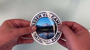 Thank You Donald Trump for Trying to Save America Bumper Sticker (pro Patriot)