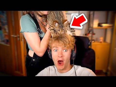 TommyInnit Reveals his New Cat!