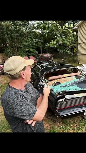1979 Trans Am totaled by tree #bandit #firebird #ws6 #tree #pontiac