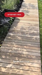 Restore Grey Weathered Wood With Net-Trol #Shorts