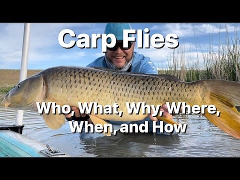Carp Flies - How to decide what flies to use for Carp.