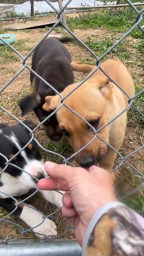 Growing quick 😞💙 | Emily F Thompson