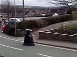 Hilarious Dalek says 'all humans must isolate' while patrolling