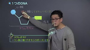 5分でわかる、「１つのDNA」の映像授業 | 映像授業のTry IT (トライイット)