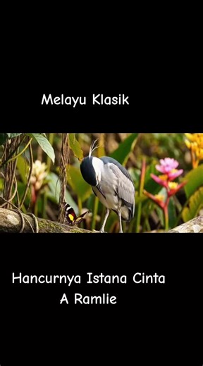Melayu Klasik: Hancurnya Istana Cinta by A Ramlie
