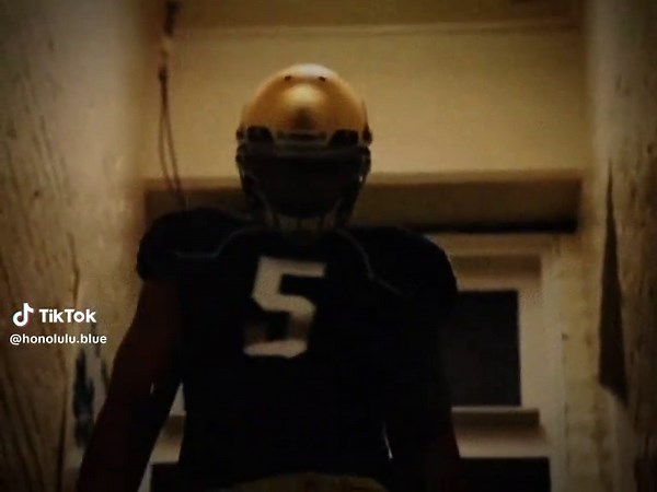 Manti Te'o: The Catfish Story and NFL Journey