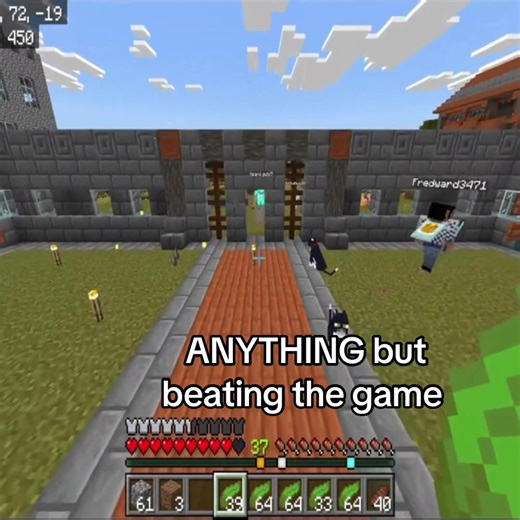 Epic Minecraft Chicken Adventures