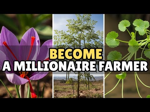 12 Plants That Turn Farmers Into Millionaires (Most People Ignore These)