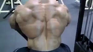 Beast | Body Fitness & Bodybuilding