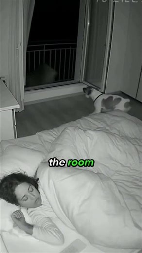 Dog Saves Sleeping Owner ❤️‍🩹❤️‍🩹#trending #animals #facts #cute