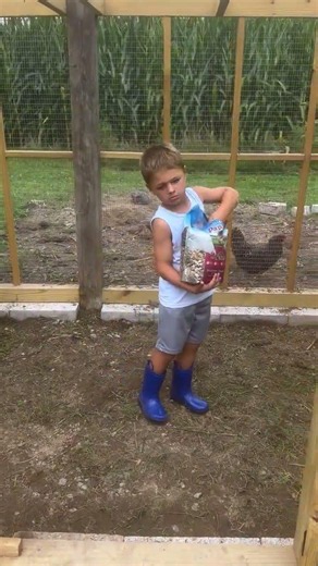 Farm kid putting his chickens away for the day! #chickens #chicken #chickencoop #farm #farmlife