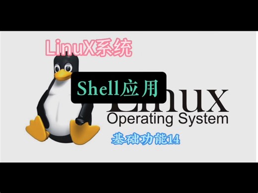 SheIl用法#高速机电#收费站#程序员必备 #SheⅡ应用