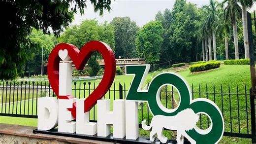 Delhi: चिड़ियाघर में रॉक पाइथन की मौत... जांच जारी, अधिकारी का दावा- कुप्रबंधन के चलते गई जान