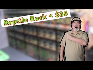 You Can Build a Reptile Rack For Less Than $35 ! 🦎🦎