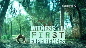 4.3K views · 77 reactions | The wait is almost over. Get ready to take a look back into the life of our ancestors. Watch the premiere of First Man, tonight at 9 PM. | Discovery Channel India | Facebook