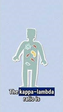 Kappa–Lambda Ratio: What It Is and What It Shows