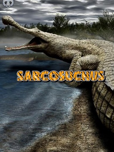 Animales Extintos Captados en Cámara: El Sarcosuchus