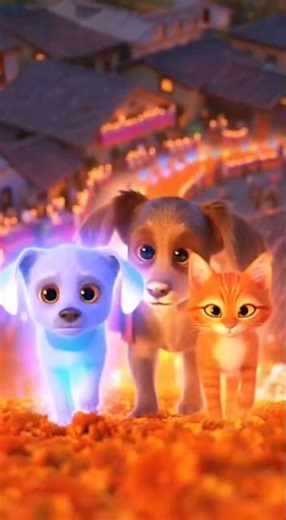 🌈 When Pets Cross the Rainbow Bridge #funnyanimals #cat #adorably #adorable #funny