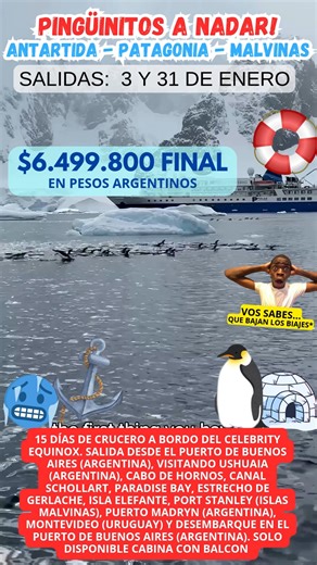 💙🐧💙 PINGÜINITOS A NADAR ENEROOO 💙🐧💙 ANTARTIDA, PATAGONIA Y MALVINAS...! SALIDAS 3 Y 31 DE ENERO 2026 15 DÍAS DE CRUCERO A BORDO DEL CELEBRITY EQUINOX. SALIDA DESDE EL PUERTO DE BUENOS AIRES (ARGENTINA), VISITANDO USHUAIA (ARGENTINA), CABO DE HORNOS, CANAL SCHOLLART, PARADISE BAY, ESTRECHO DE GERLACHE, ISLA ELEFANTE, PORT STANLEY (ISLAS MALVINAS), PUERTO MADRYN (ARGENTINA), MONTEVIDEO (URUGUAY) Y DESEMBARQUE EN EL PUERTO DE BUENOS AIRES (ARGENTINA). SOLO DISPONIBLE CABINA CON BALCON $6.499.
