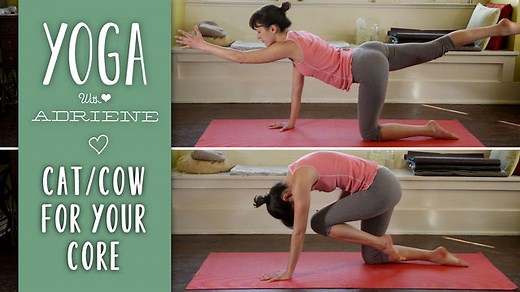 Cat Cow Variations - Yoga For Weight Loss