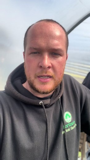 The Importance of Properly Watering Plants for Healthy Growth