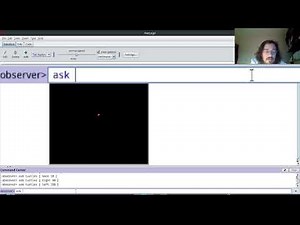 Práctica 0: Introducción a NetLogo - Primeros pasos: Tortugas (parte 1)