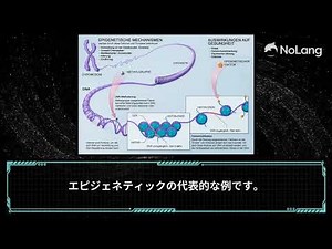 エピジェネティックとは