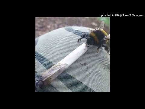 free plugg type beat (prod. callmejsy)