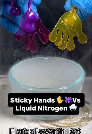 Liquid Nitrogen vs. Hands: Satisfying Experiment