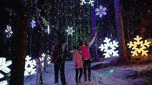 A spectacular new scene, 10 million lights & 2,500 acres of Christmas cheer! Experience a beloved family tradition, now - Jan. 2. | Callaway Resort & Gardens