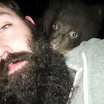 Bear Cub Kisses