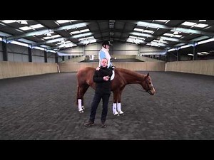 Lesson 3 : Rising Trot / Posting Trot