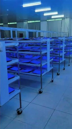Indoor and outdoor led module ageing test#leddisplay #advertise #customized #rental #flexible