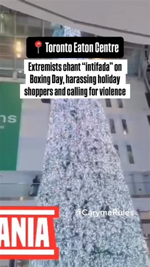 The holidays are supposed to be about enjoying time with family and friends. Instead, Torontonians doing their Boxing Day shopping were subjected to another mob of extremists harassing shoppers, and openly calling for violence with chants of “intifada.” We saw in the last two weeks with the attacks in Sydney, and arrests in Toronto of an individual linked to ISIS—violent words can lead to bloodshed. Other jurisdictions are acting. It’s time for Canadian leaders to step up. | CIJA