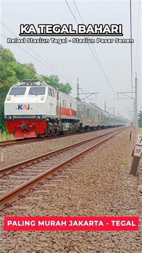 PALING MURAH JAKARTA - TEGAL ‼️ KERETA API TEGAL BAHARI Relasi Stasiun Tegal - Stasiun Pasar Senen