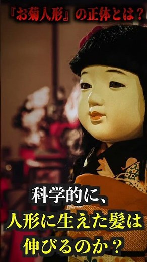 【昭和のオカルト】髪が伸びる人形の正体を教えます #都市伝説 #オカルト #お菊人形 #shorts