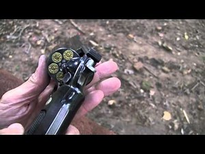 .44 Magnum Model 29 8-inch (Close-up)