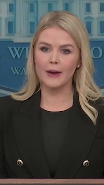 Karoline Leavitt reveals list of where USAID money goes