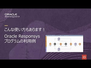 Oracle Responsys プログラムの利用例