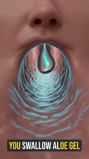 What Happens When You Swallow Aloe Vera Gel? | 3D Body Animation
