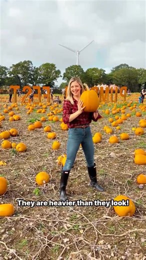 20K views · 38 reactions | The secret ingredient to improve your walks - dare we say, pumpkin? We already know the key to getting in your steps is integrating movement into your daily life - and when you can do it by also making core memories like these, is there truly anything better?  Tag the friend you want to make a date with, then download the WalkFit app to start soaking in all those fall vibes!  https://go.walk-fit.io/4qpVueq | WalkFit Daily Walking Plan | Facebook