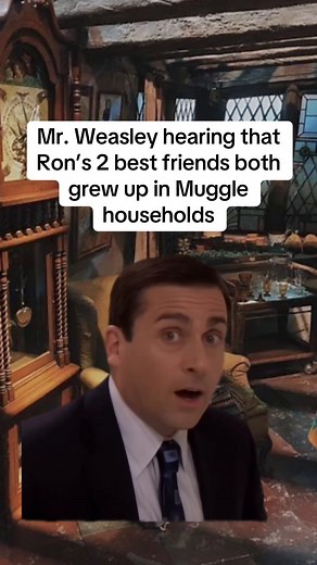 Exploring the Weasleys and Muggle Friendships