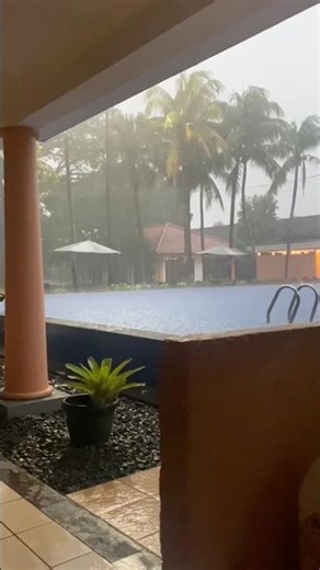 6 June 2023 My Pool Vid. #rain #pool #chill #tree