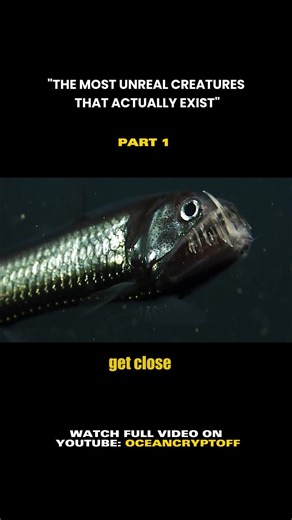 Unreal creatures that actually exist