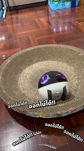 การเดินทางในฮ่องกงที่เต็มไปด้วยความฮา