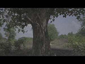 Nikon N-log footage for download | Practice footage for color grading