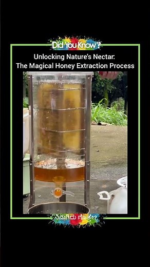 The Magical Honey Extraction Process