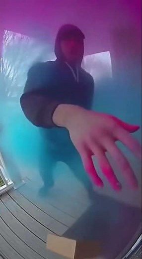 🎨 Package Thief Gets Painted