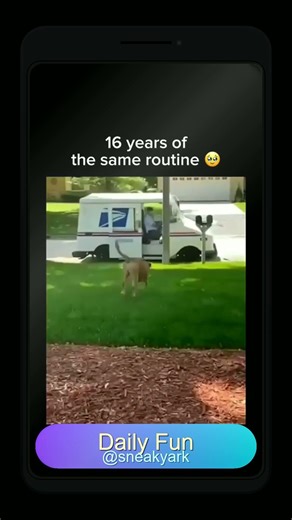 The Mailman Obsessed Dog: 16 Years of Waiting for His Best Friend 🐶💌